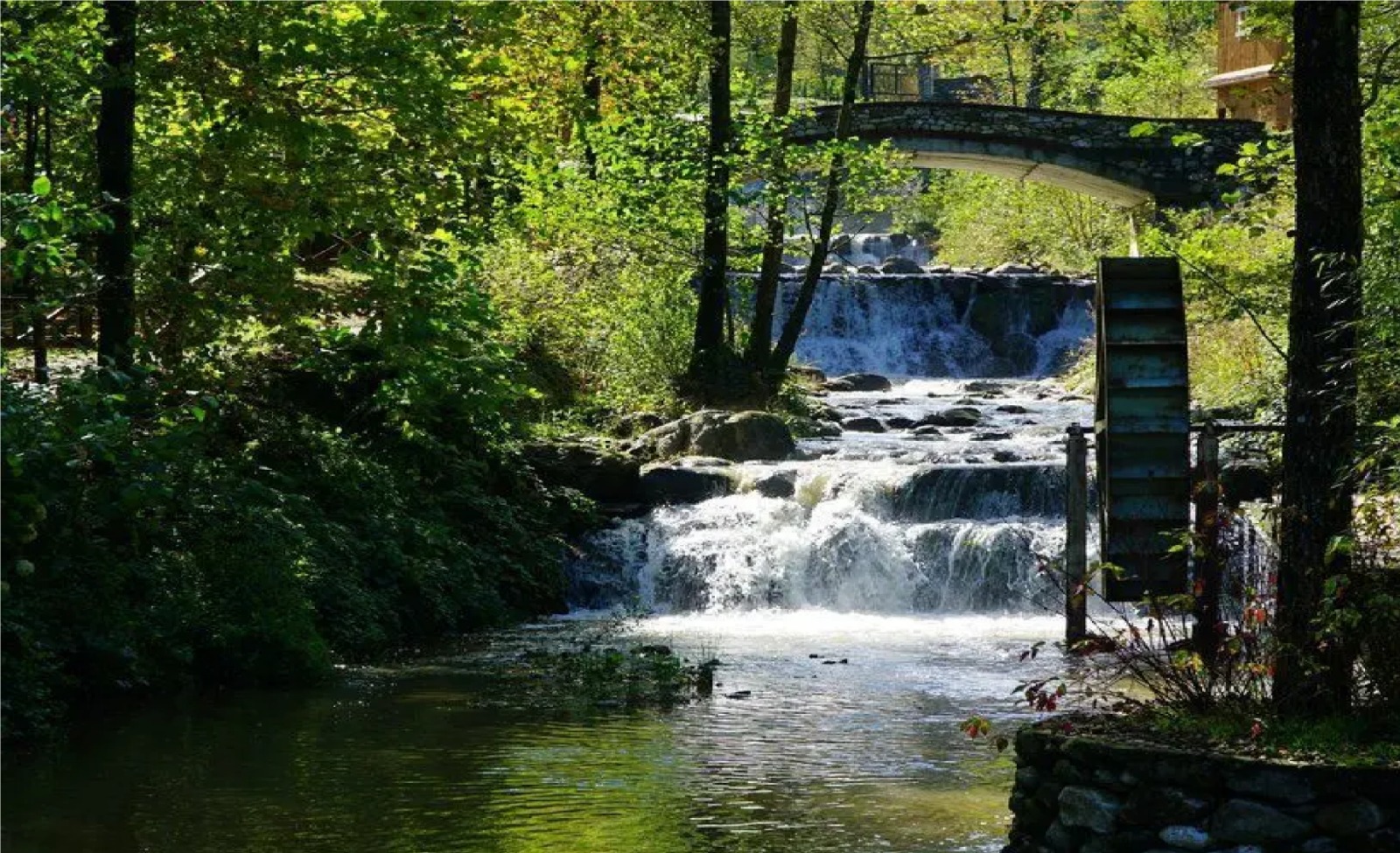 Sapanca & Maşukiye Turu group