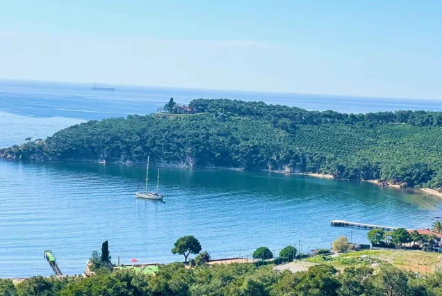 Prens Adaları (Büyükada) Gündüz Turu