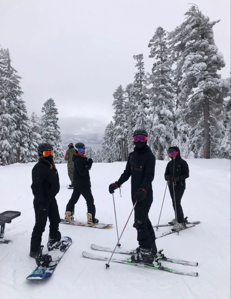 Uludağ Turu / Günübirlik